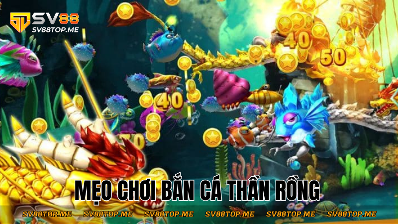 meo-choi-ban-ca